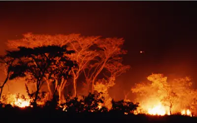 Supercomputadores, nova ferramenta contra incêndios florestais