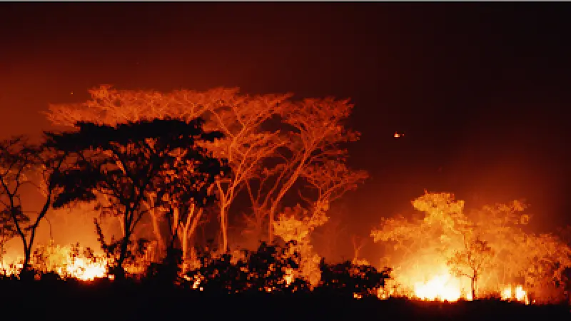 Supercomputadores, nova ferramenta contra incêndios florestais