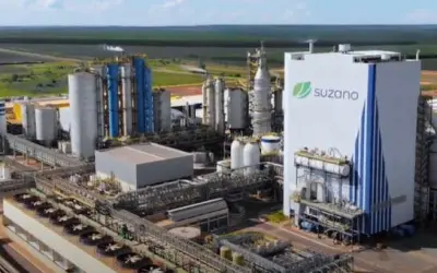 Suzano e Marvin: Parceria Estratégica para Inovação e Sustentabilidade