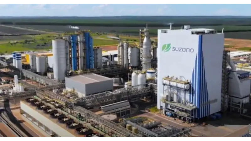 Suzano e Marvin: Parceria Estratégica para Inovação e Sustentabilidade