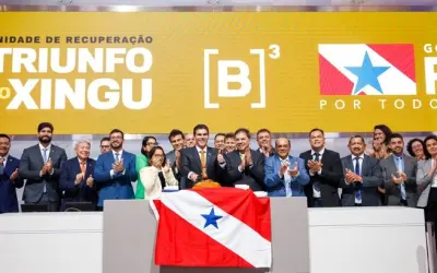 Systemica vence primeiro leilão para reflorestamento em área degradada no Pará