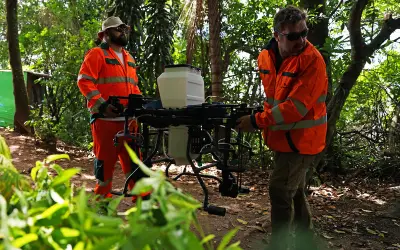 Como a tecnologia de Drones e uso de IA pode acelerar o reflorestamento