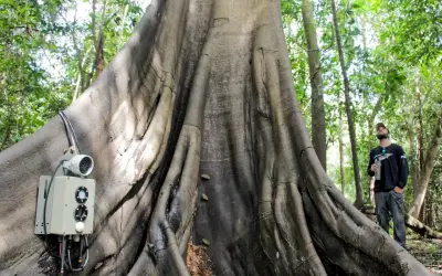 Tecnologias Revolucionam o Monitoramento da Biodiversidade, Árvores e Ar da Amazônia