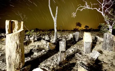 Tocantins tem uma das maiores reservas de flora fossilizada do mundo