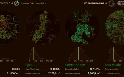 Treepedia: plataforma online mostra o percentual de arborização urbana em grandes cidades