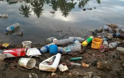 Tributação pode estimular reciclagem e diminuir geração de resíduos, diz pesquisadora