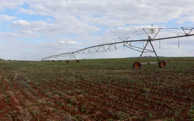 Tríplice monotonia: como a agricultura homogênea ameaça o solo e a saúde