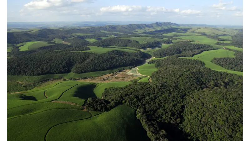 Um ponto-final na dúvida: florestas contínuas conservam mais biodiversidade que áreas florestais fragmentadas