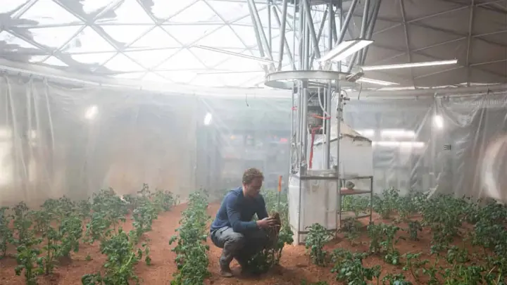 Uma espécie de musgo da Terra é capaz de sobreviver em Marte