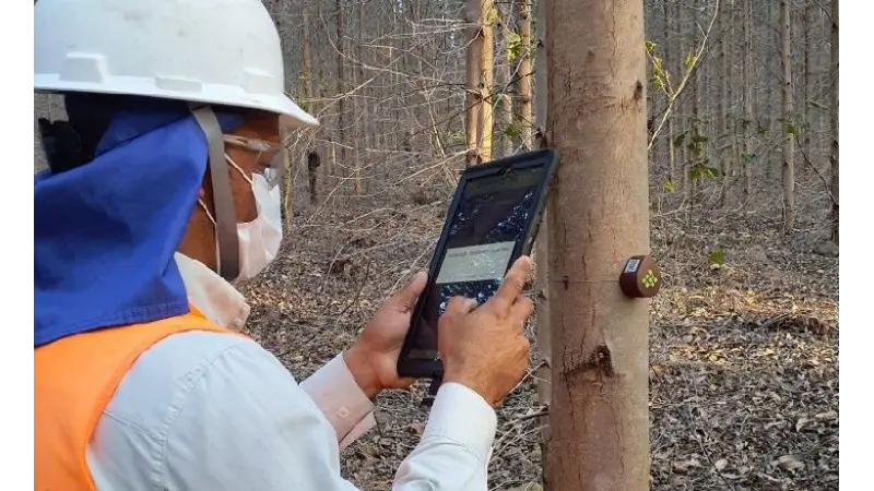 Usando IoT para monitoramento do crescimento de florestas plantadas