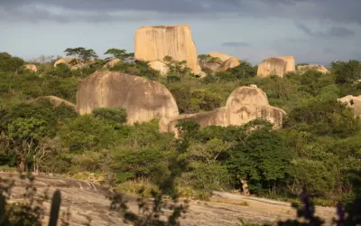 Vegetação inteligente e riqueza cultural: a Caatinga que é muito mais que seca e escassez