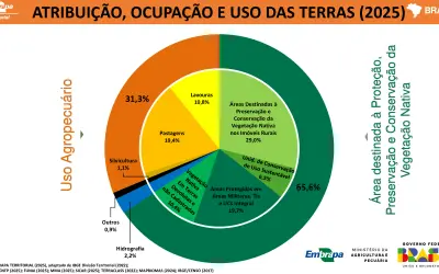 Vegetação nativa cobre 65,6% do Brasil, segundo Embrapa Territorial