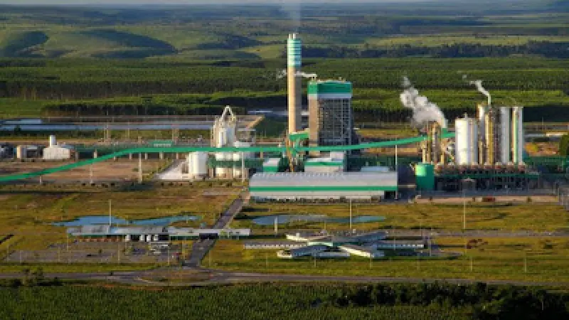 Veracel Celulose divulga edital para contratação de Instrutor Florestal