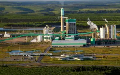 Veracel Celulose divulga edital para contratação de Especialista em manutenção de colheita