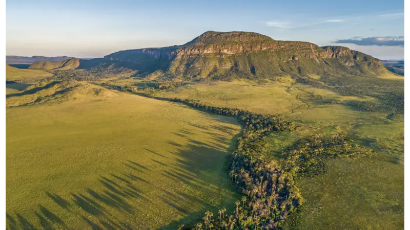 O tesouro subterrâneo do Cerrado: Veredas armazenam 8 vezes mais carbono que a biomassa da Amazônia