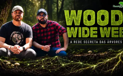 Wood Wide Web: o segredo oculto debaixo das florestas